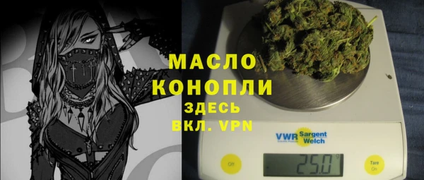 мдпв Няндома