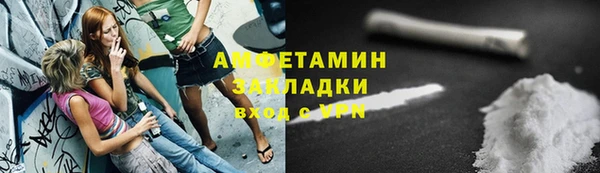 мдпв Няндома