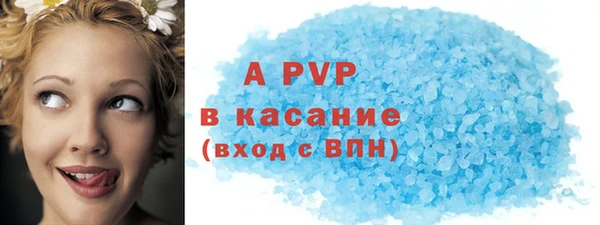 индика Нязепетровск