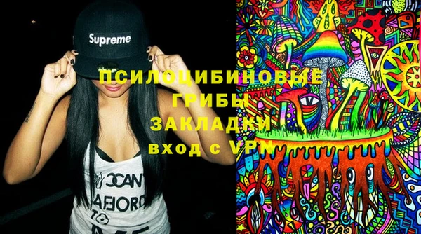 индика Нязепетровск