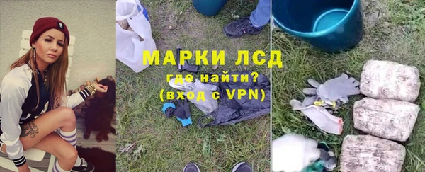 индика Нязепетровск