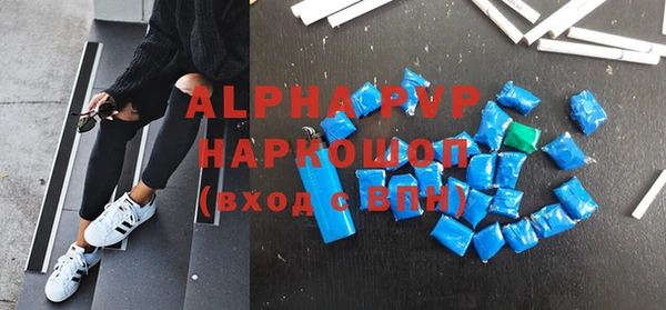 индика Нязепетровск