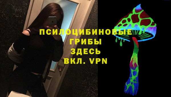 мдпв Няндома