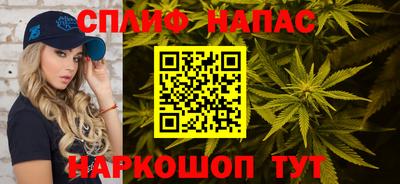 СК Будённовск