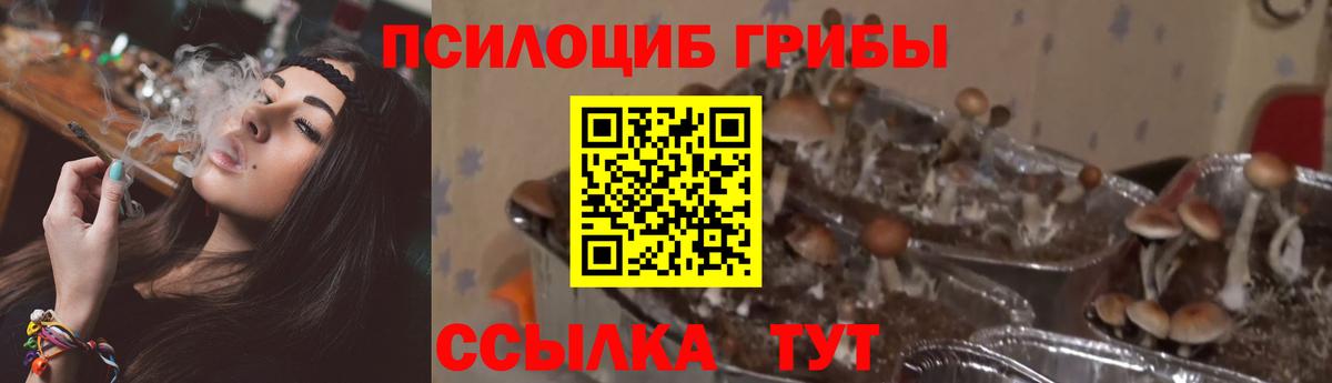 Псилоцибиновые грибы MAGIC MUSHROOMS  Вход с VPN  Семилуки 